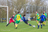 S.K.N.W.K. 1 - Colijnsplaatse Boys 1 (competitie) seizoen 2023-2024 (33/99)